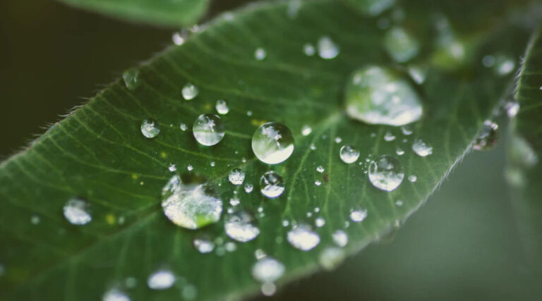 awrtc website